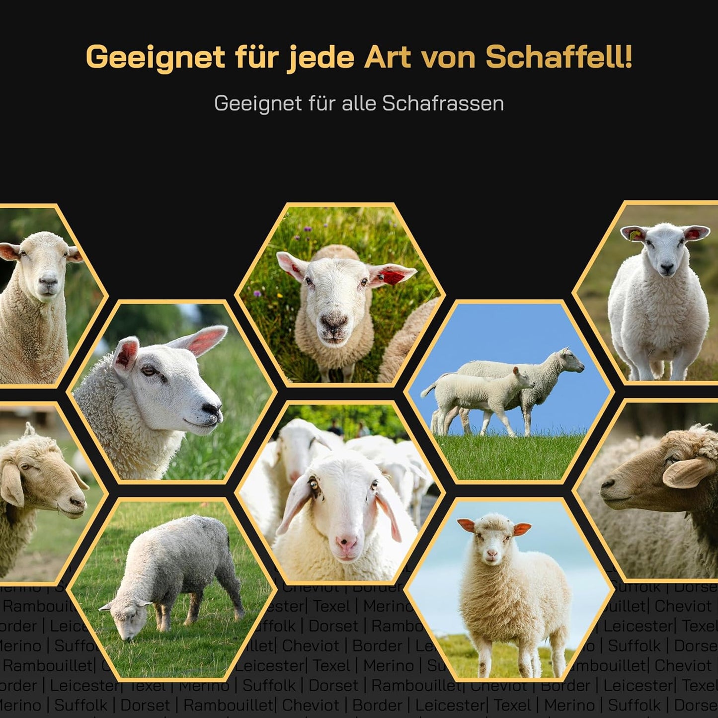 KNEIZER SCHAFE SCHERMASCHINE S-PRO 400