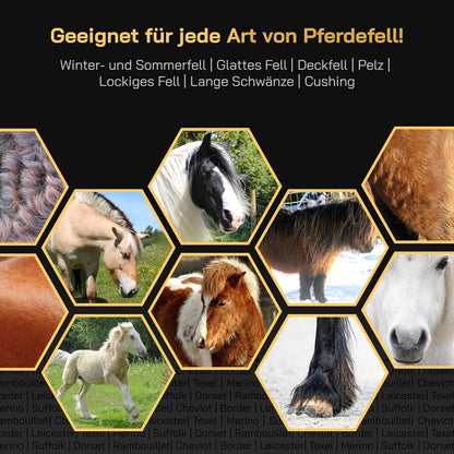 KNEIZER Pferdeschermaschine Komplettset ✓ Austauschbare Klingen ✓ Leise & Vibrationsarm ✓ Wartungsfrei ✓ Für Alle Fellarten